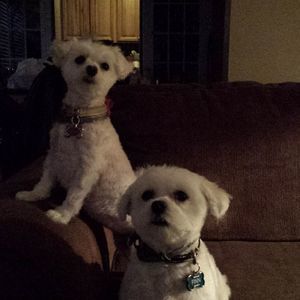 Meet your Posher, Mary ellen